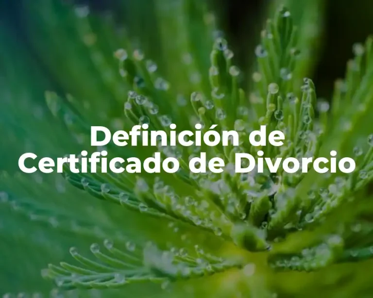 Definición de Certificado de Divorcio