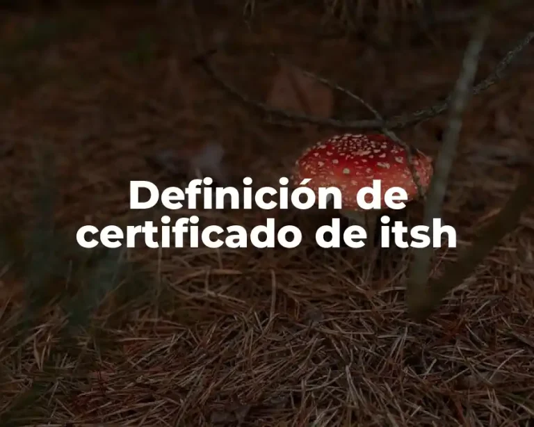 Definición de certificado de itsh