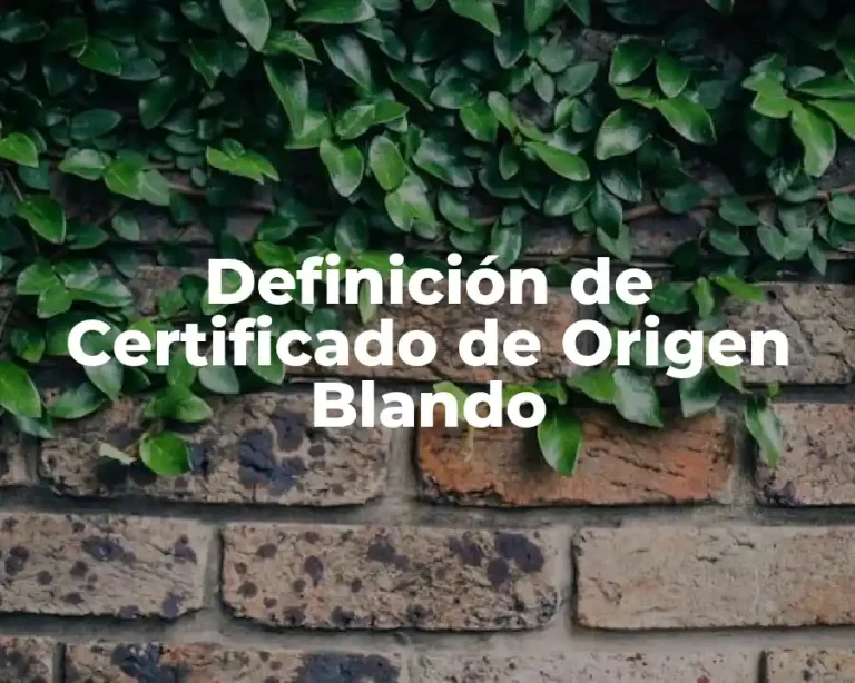 Definición de Certificado de Origen Blando