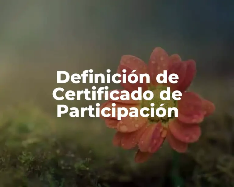 Definición de Certificado de Participación
