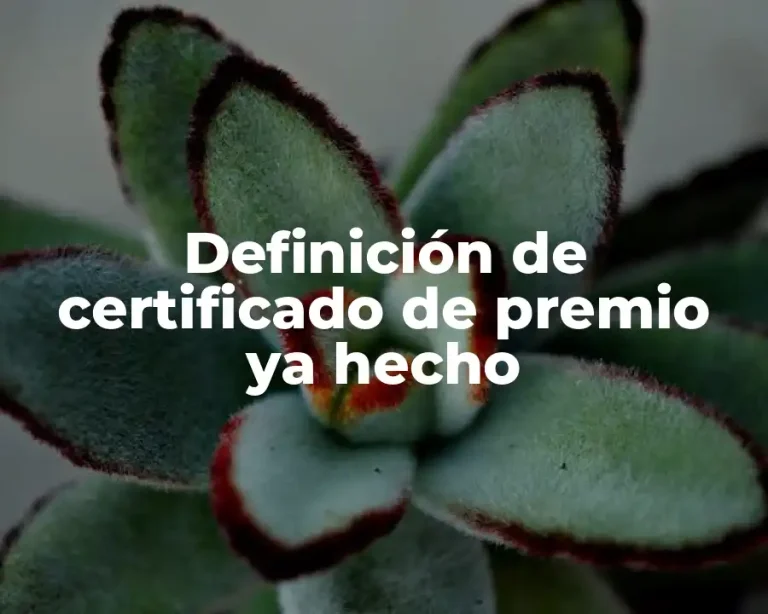 Definición de certificado de premio ya hecho