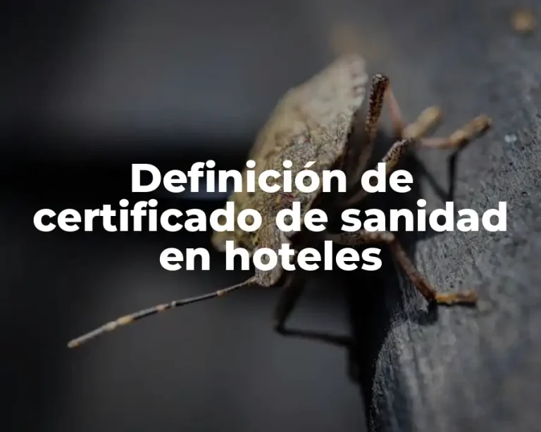 Definición de certificado de sanidad en hoteles