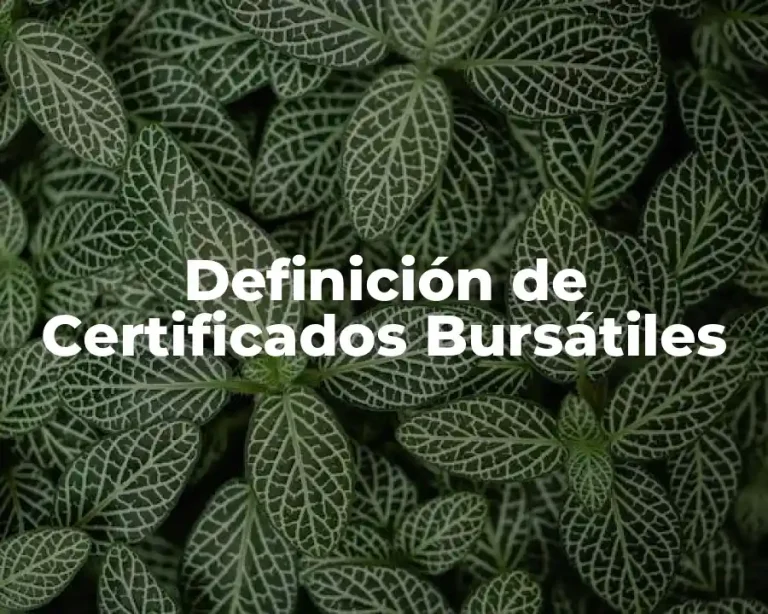 Definición de Certificados Bursátiles