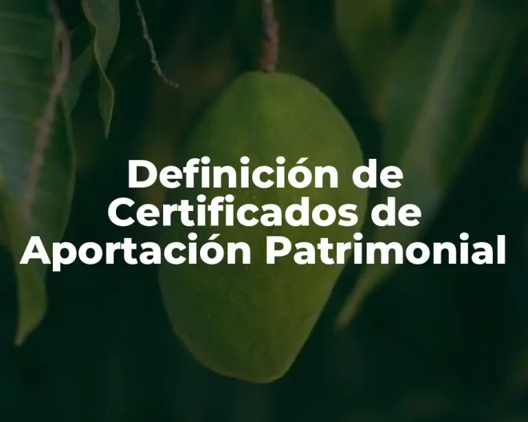 Definición de Certificados de Aportación Patrimonial