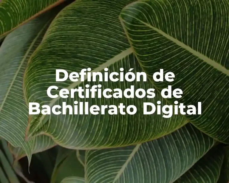 Definición de Certificados de Bachillerato Digital