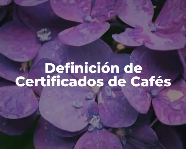 Definición de Certificados de Cafés