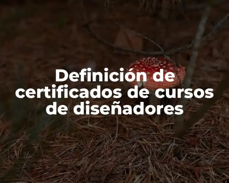 Definición de certificados de cursos de diseñadores