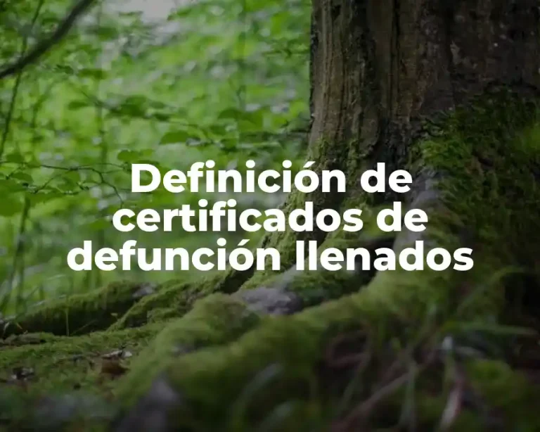 Definición de certificados de defunción llenados