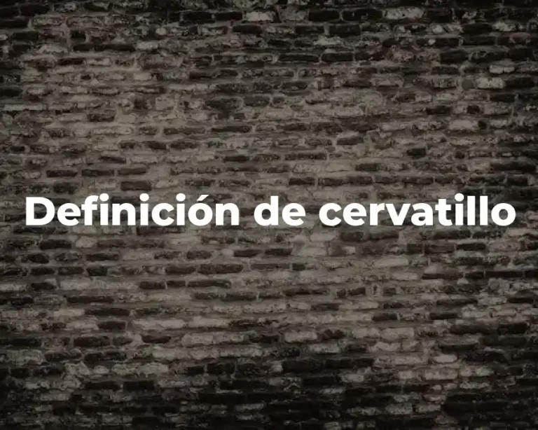 Definición de cervatillo