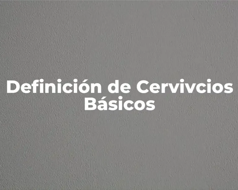 Definición de Cervivcios Básicos