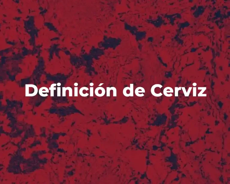 Definición de Cerviz