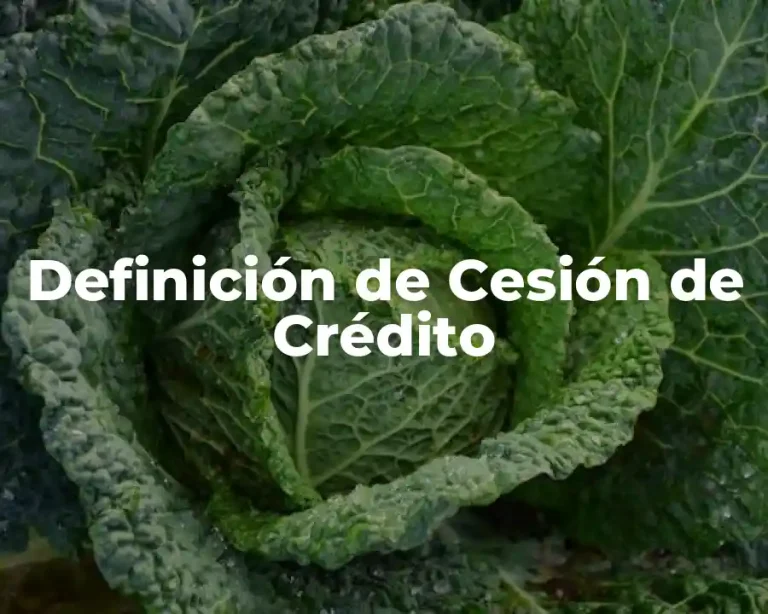 Definición de Cesión de Crédito
