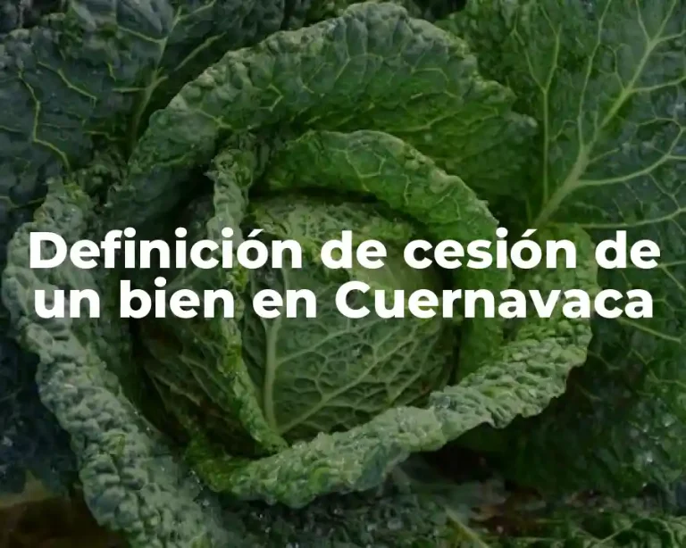Definición de cesión de un bien en Cuernavaca