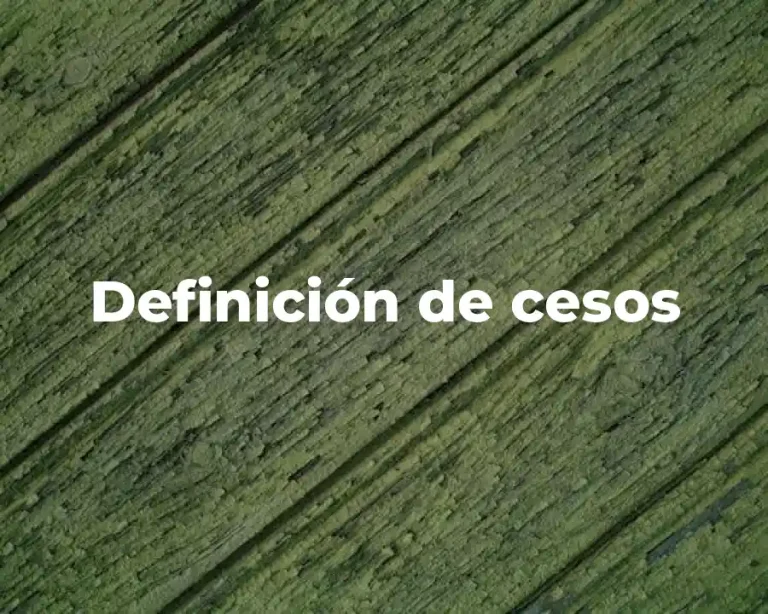 Definición de cesos