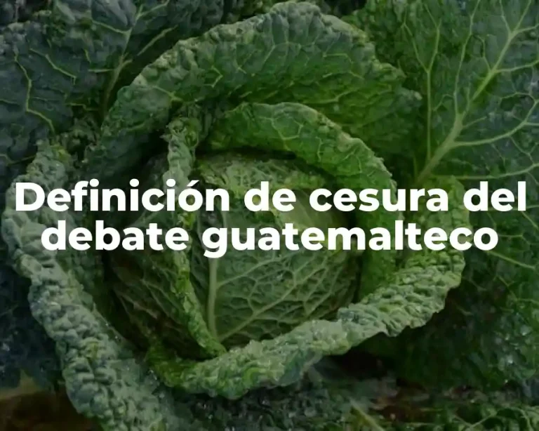 Definición de cesura del debate guatemalteco