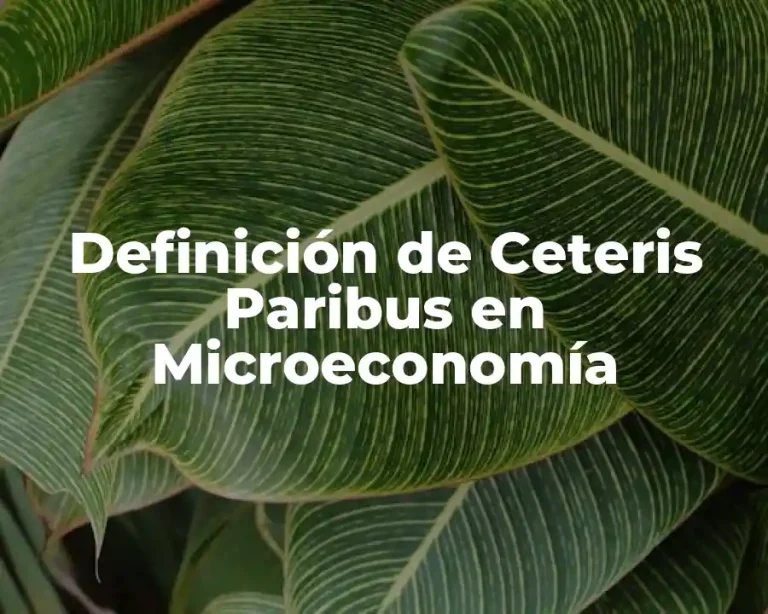 Definición de Ceteris Paribus en Microeconomía