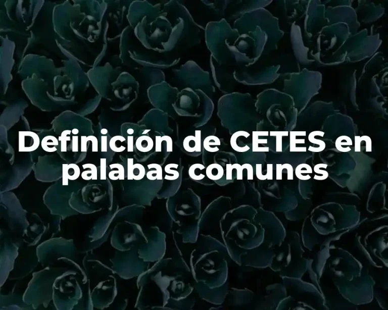Definición de CETES en palabas comunes