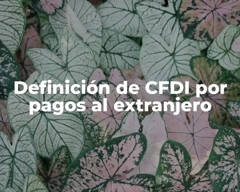 Definición de CFDI por pagos al extranjero