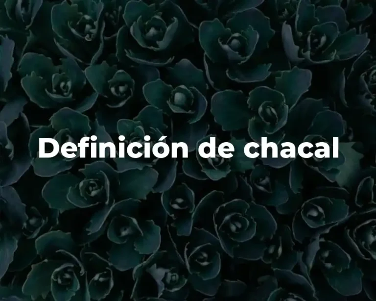 Definición de chacal