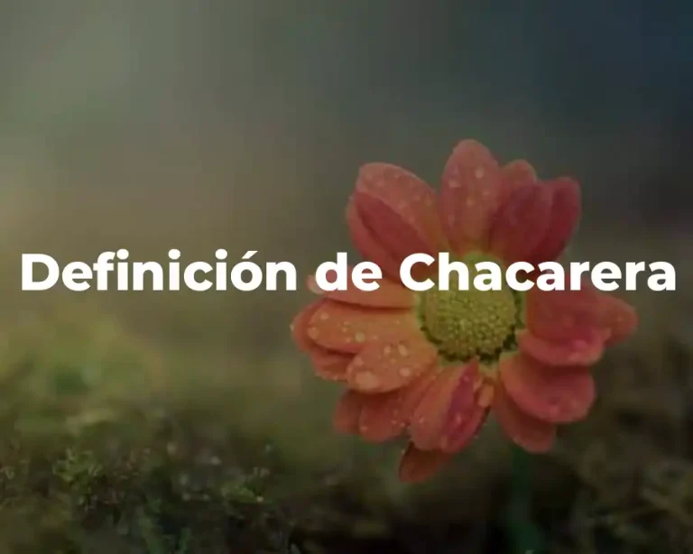 Definición de Chacarera