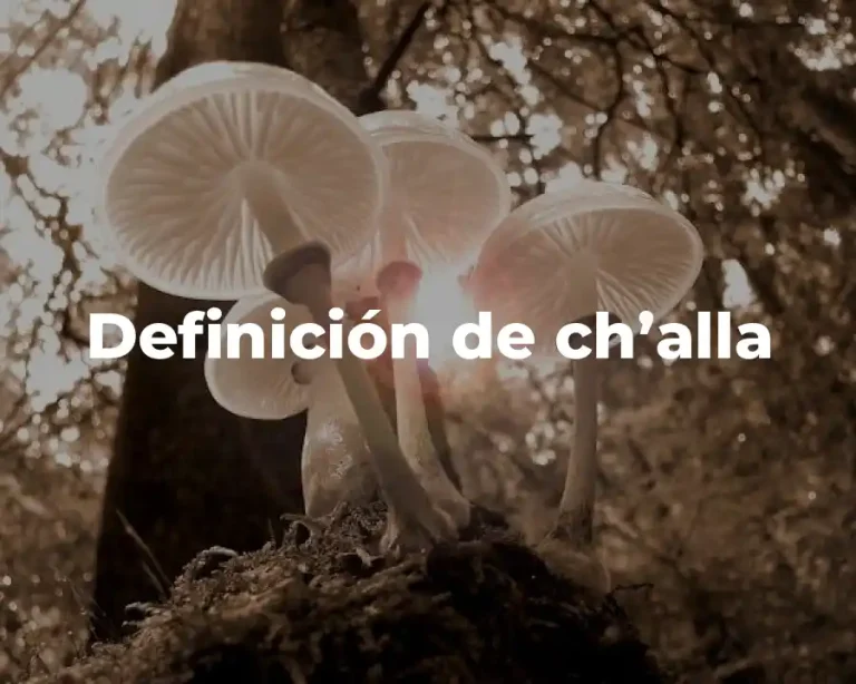 Definición de ch’alla