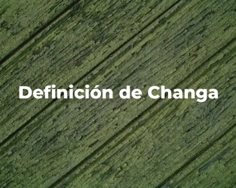 Definición de Changa