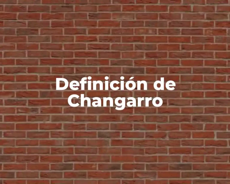 Definición de Changarro