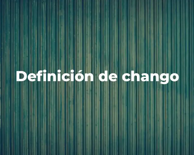 Definición de chango