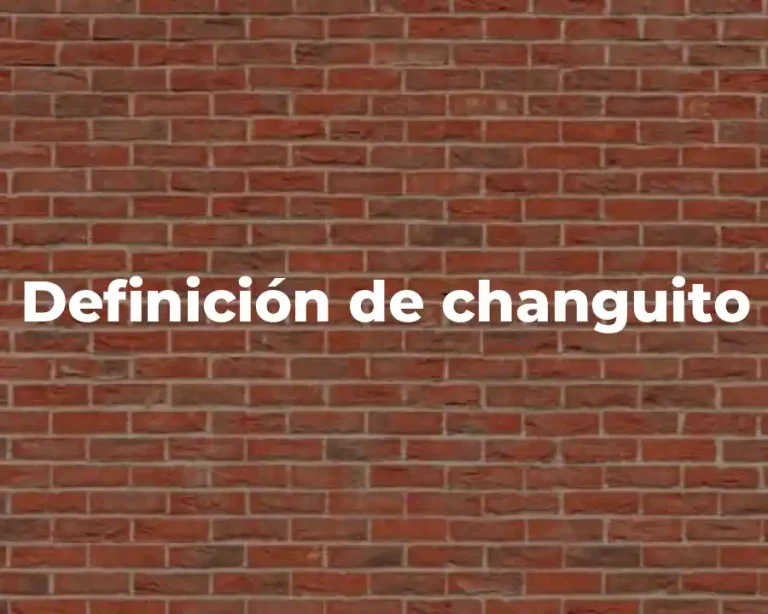 Definición de changuito