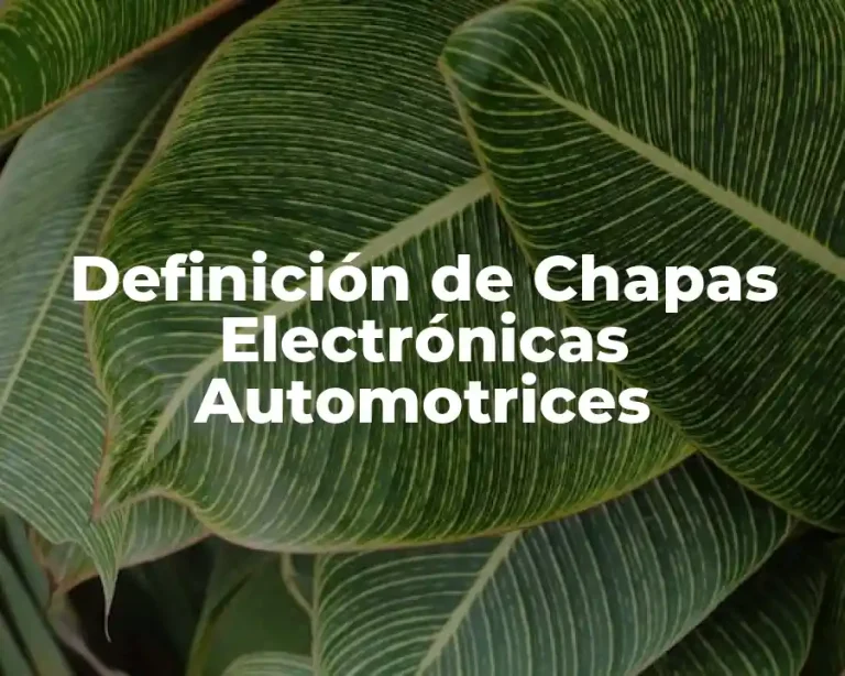 Definición de Chapas Electrónicas Automotrices