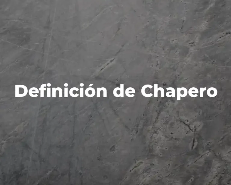 Definición de Chapero