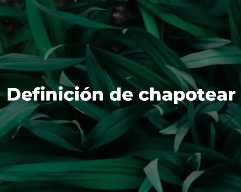 Definición de chapotear