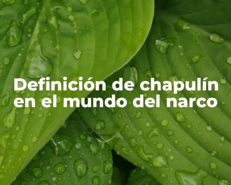 Definición de chapulín en el mundo del narco