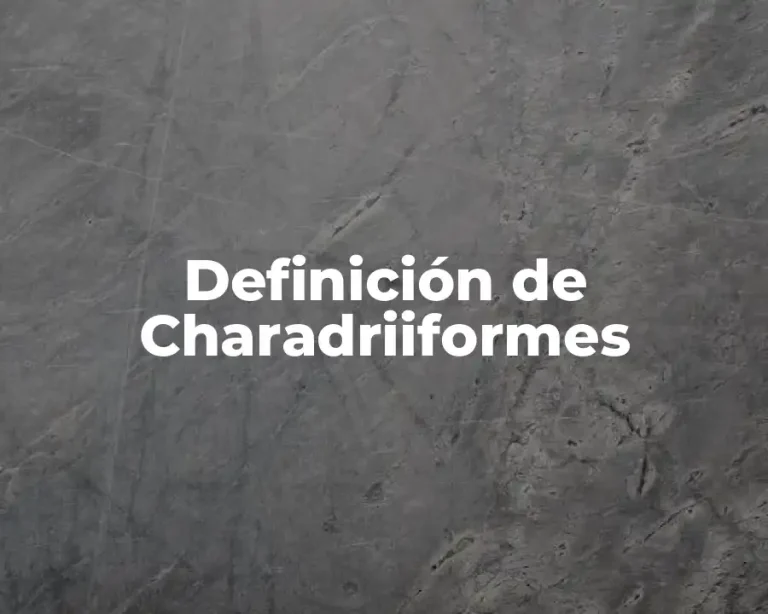 Definición de Charadriiformes
