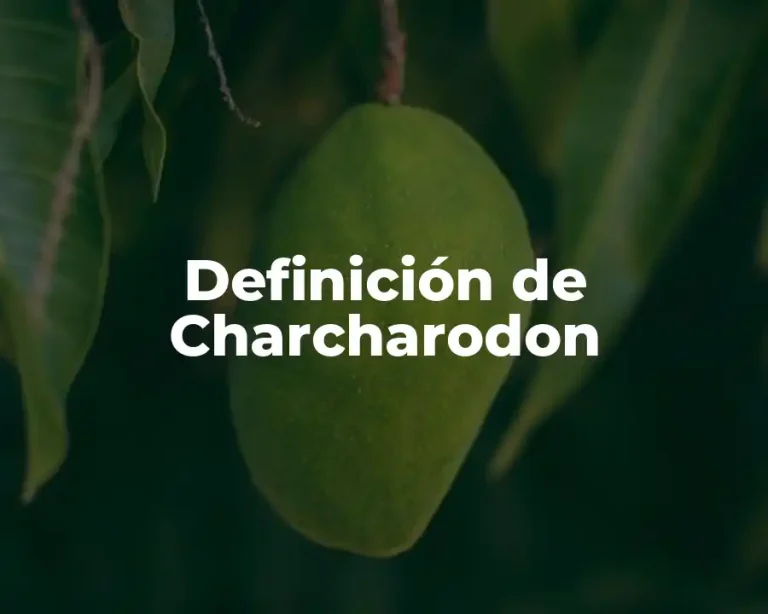 Definición de Charcharodon