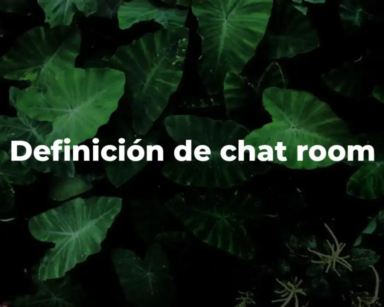 Definición de chat room