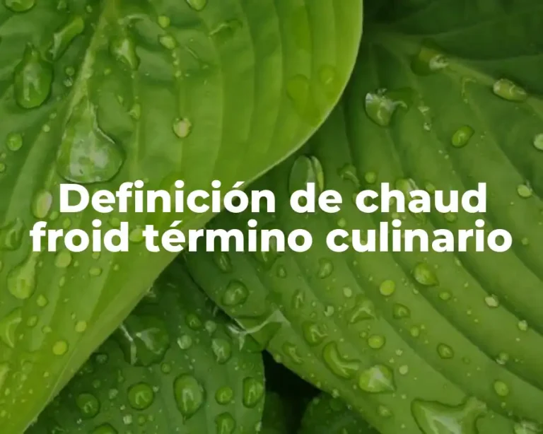 Definición de chaud froid término culinario