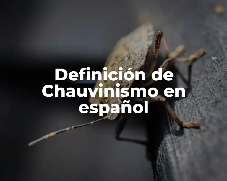 Definición de Chauvinismo en español