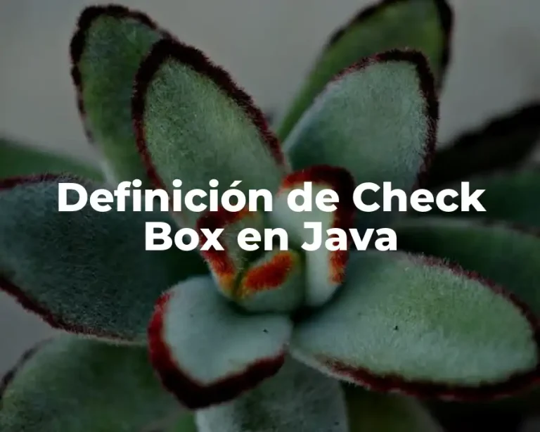 Definición de Check Box en Java