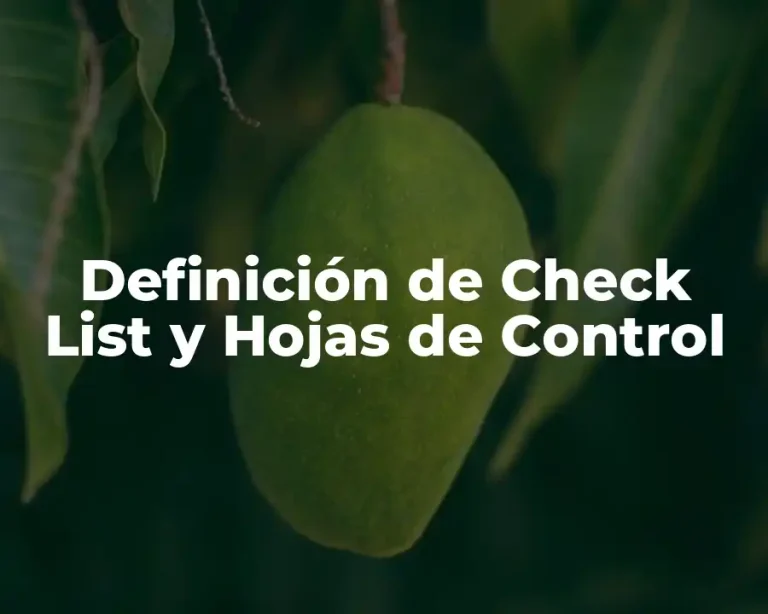 Definición de Check List y Hojas de Control