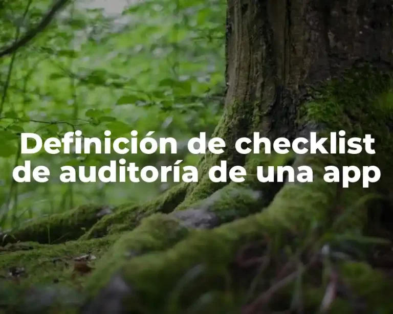 Definición de checklist de auditoría de una app