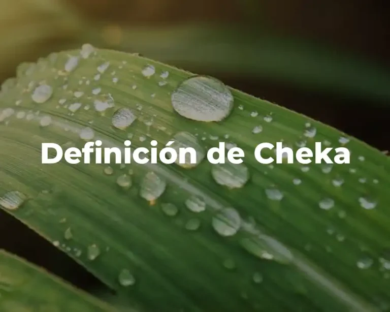 Definición de Cheka