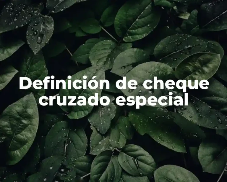 Definición de cheque cruzado especial