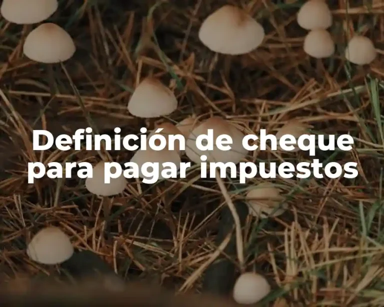 Definición de cheque para pagar impuestos