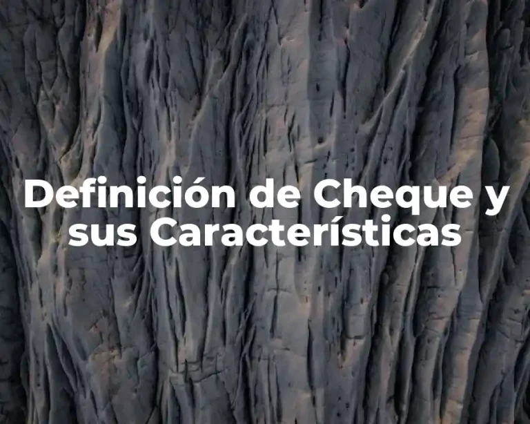 Definición de Cheque y sus Características