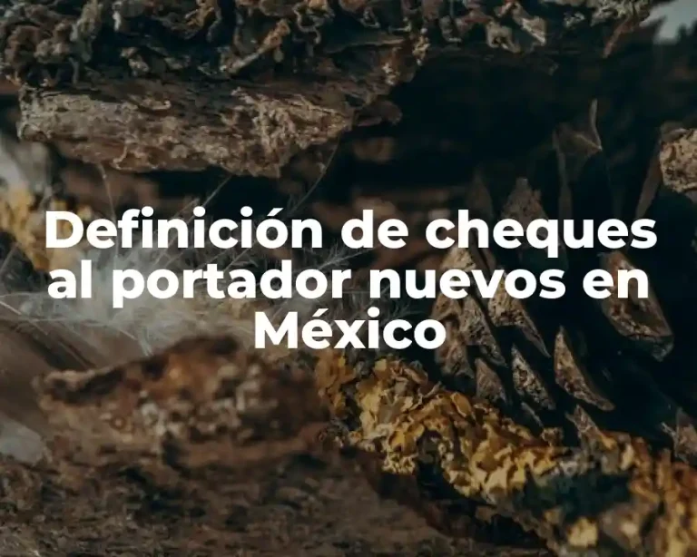 Definición de cheques al portador nuevos en México