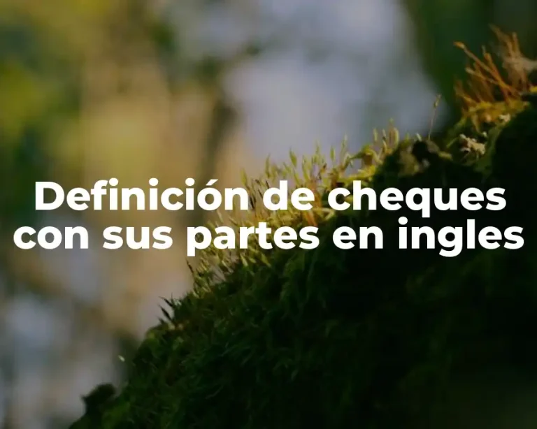 Definición de cheques con sus partes en ingles