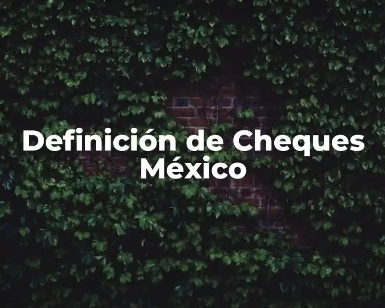 Definición de Cheques México