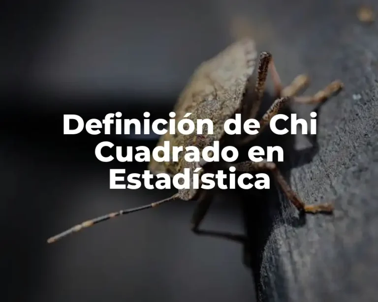 Definición de Chi Cuadrado en Estadística