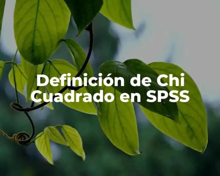 Definición de Chi Cuadrado en SPSS